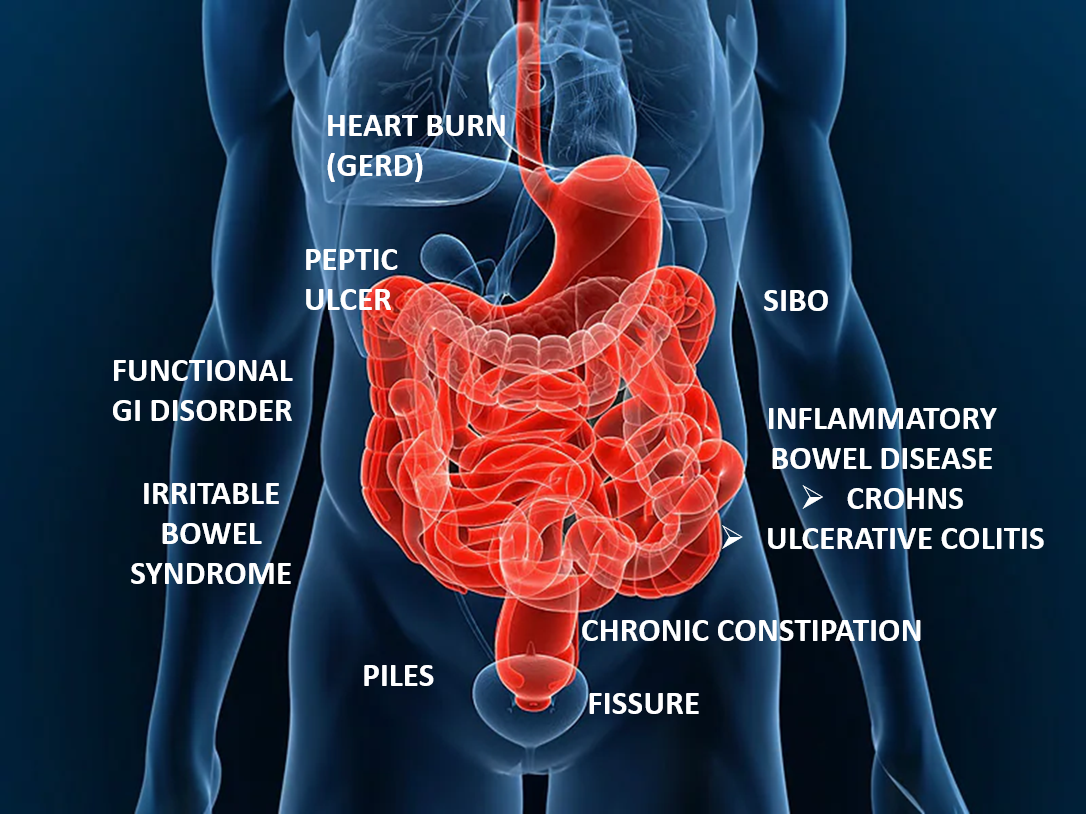 bg10_inner1